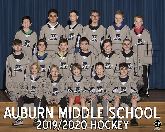 Hockey HOCKEY.JPG _ Team8x10 _ Team3(1)