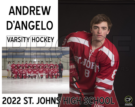 Varsity Hockey D’Angelo Andrew_ Team8x10 _ Sportsmate3(1)