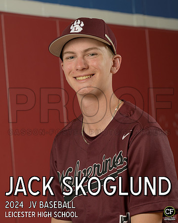 LHS Spring Teams 24 JV Baseball Skoglund Jack_ Team8x10 _ Individual 8x10(1)