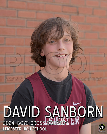 LHS Fall Teams 2425WEB Boys Cross Country Sanborn David_ Team8x10 _ Individual 8x10(1)