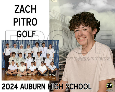 AHSFallTeams2425WEB Golf Pitro Zach_ Team8x10 _ Sportsmate3(1)