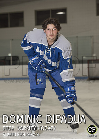 AHS Winter Teams 2122 Varsity Hockey DiPadua Dominic_ Team5x7 _ Individual2(1)